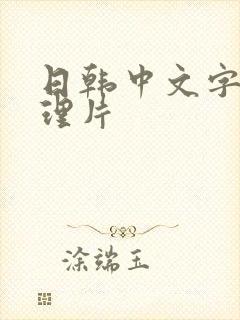 日韩中文字幕伦理片