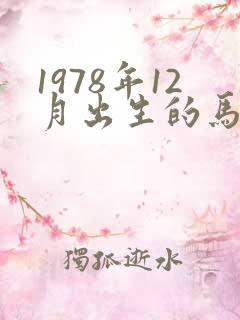 1978年12月出生的马的命运