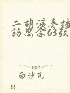 二胡演奏挡不住的思念63弦