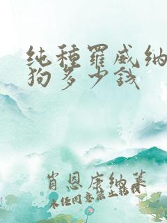 纯种罗威纳犬小狗多少钱