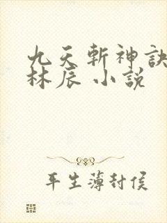 九天斩神诀小说林辰 小说