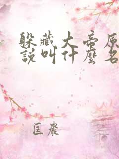 躲藏大帝原著小说叫什么名字