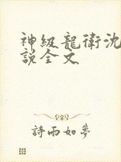神级龙卫沈浪小说全文