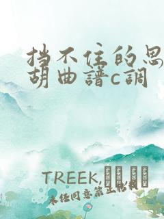 挡不住的思念二胡曲谱c调