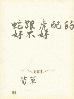 蛇跟虎配的婚姻好不好