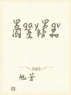 男gay男gv国产精品