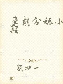 孕期分娩小说片段