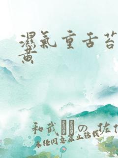 湿气重舌苔白厚黄