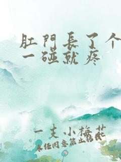 肛门长了个肉球一碰就疼