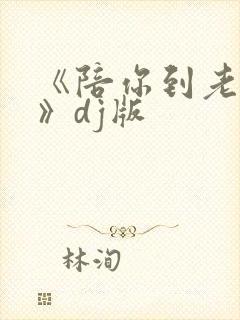 《陪你到老的人》dj版