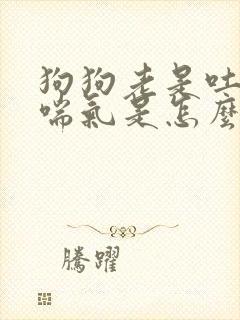 狗狗老是吐舌头喘气是怎么回事