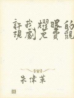 许我耀眼的你电视剧免费观看全集