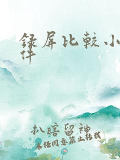 录屏比较小的软件