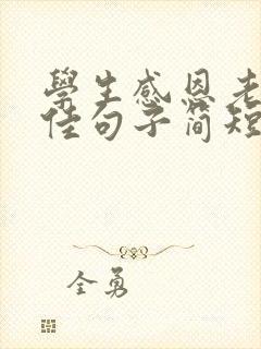 学生感恩老师最佳句子简短