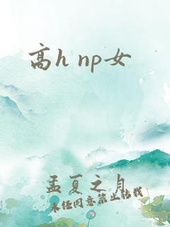 高h np女