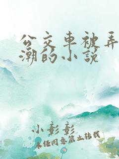 公交车被弄到高潮的小说