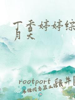 丁香婷婷综合五月天