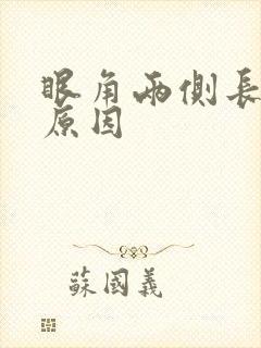 眼角两侧长斑的原因