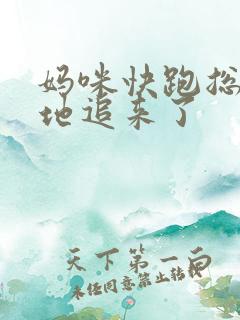 妈咪快跑总裁爹地追来了