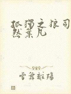 孤独之狼司空嫣然叶凡