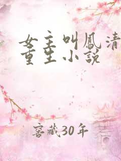 女主叫凤清歌的重生小说