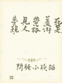 梦见带着死去的亲人旅游是什么兆头