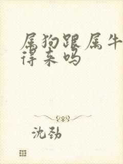 属狗跟属牛的合得来吗