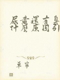 尿黄还有臭味是什么原因引起的