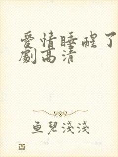 爱情睡醒了电视剧高清