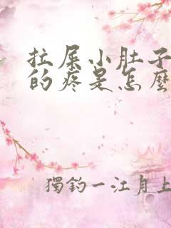 拉屎小肚子下坠的疼是怎么回事