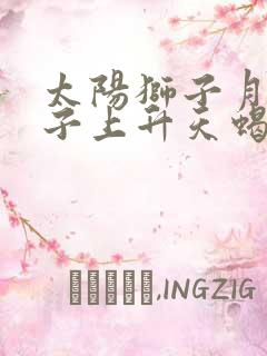 太阳狮子月亮双子上升天蝎