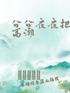 公公夜夜把我弄高潮