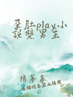 孕肚play小说双男主