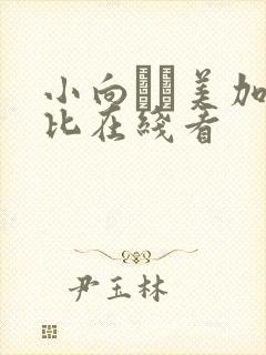 小向まな美加勒比在线看