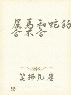 属马和蛇的属相合不合