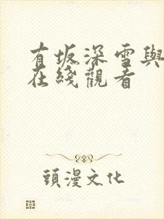 有坂深雪与黑人在线观看