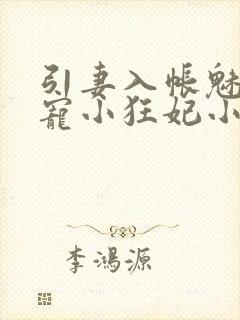 引妻入帐魅王枭宠小狂妃小说
