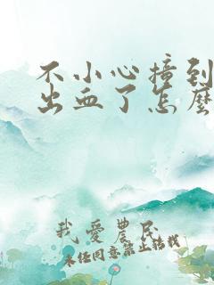 不小心撞到鼻子出血了怎么办