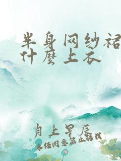 半身网纱裙搭配什么上衣