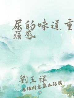 尿的味道重有刺痛感