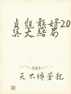 贞观憨婿200集大结局