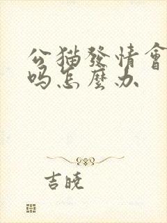 公猫发情会乱尿吗怎么办