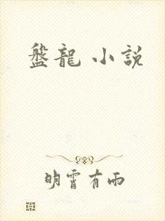 盘龙 小说