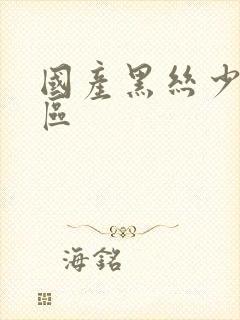 国产黑丝少妇一区