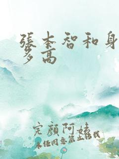 张本智和身高有多高