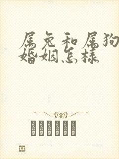 属兔和属狗相配婚姻怎样