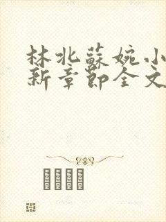 林北苏婉小说最新章节全文