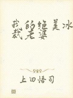 我的绝美冰山总裁老婆