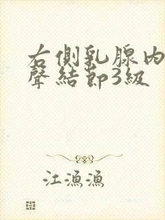 右侧乳腺内低回声结节3级