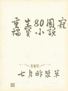 重生80团宠小福宝小说